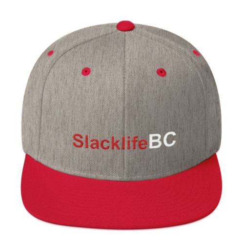 SlacklifeBC Flat Beak Adjustable Hat - Image 10