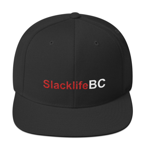 SlacklifeBC Flat Beak Adjustable Hat - Image 5