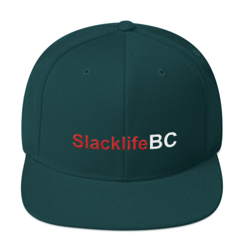 SlacklifeBC Flat Beak Adjustable Hat - Image 7